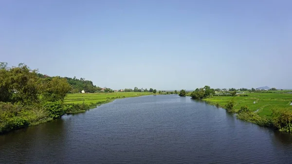 ベトナムの色相周辺の大規模な水田 — ストック写真