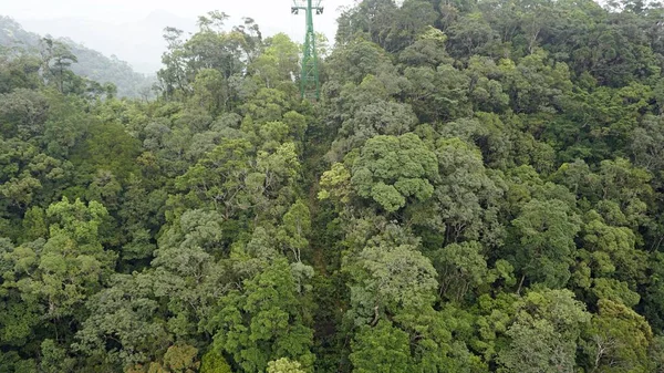 Seilbahn Banahügel Vietnam — Stockfoto