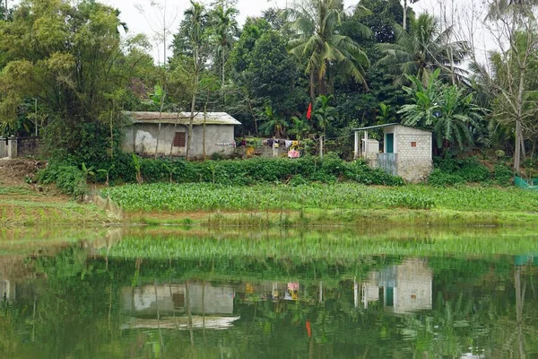 Riva Del Fiume Dal Fiume Profumo Tonalità Vietnam — Foto Stock