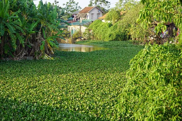 Beau Paysage Exotique Dans Teinte Vietnam — Photo