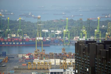 Sabahın erken saatlerinde Singapur 'un büyük limanında