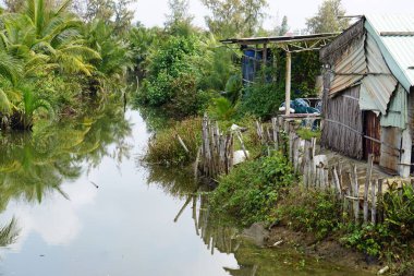 Sonbaharda Orta Vietnam 'da yeşil doğa