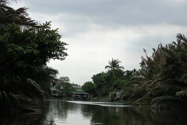 Lanskap Pertanian Pedesaan Dekat Dapat Tho Vietnam Delta Mekong — Stok Foto