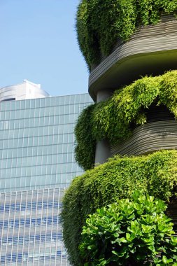 Singapur şehir merkezindeki büyük yeni ofis binaları.