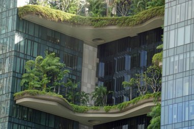 Singapur şehir merkezindeki büyük yeni ofis binaları.