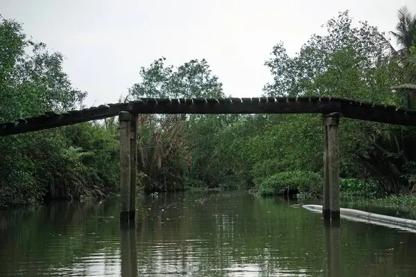 Rive Rivière Vie Can Tho Dans Sud Vietnam — Photo