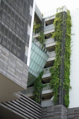 Singapur şehir merkezindeki büyük yeni ofis binaları.