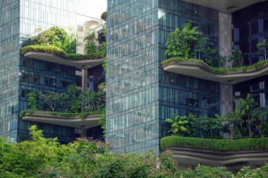 Singapur şehir merkezindeki büyük yeni ofis binaları.