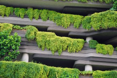 Singapur şehir merkezindeki büyük yeni ofis binaları.