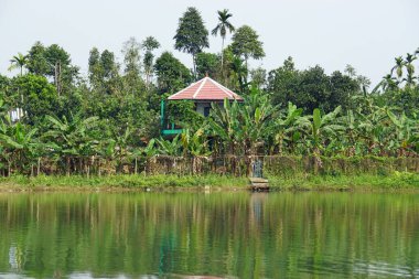 Vietnam 'daki parfüm nehrinin nehir kıyısında.
