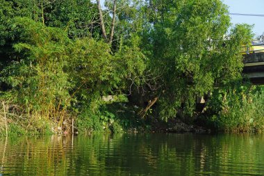Vietnam 'daki parfüm nehrinin nehir kıyısında.