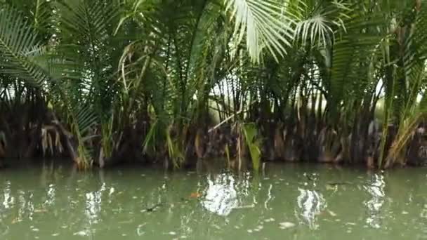 Boottocht Een Traditionele Vietnamese Rondboot — Stockvideo