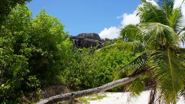 Дивовижний Тропічний Пейзаж Сейшельських Островах — стокове фото