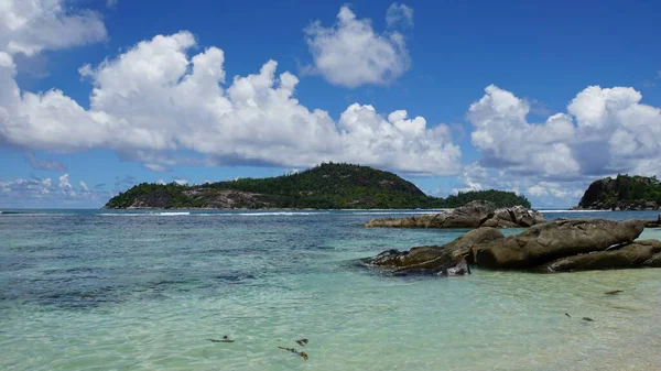 Incrível Paisagem Tropical Nas Ilhas Seicheles — Fotografia de Stock