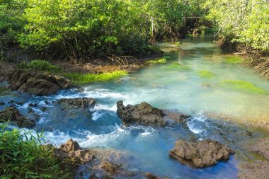 Mangrov orman ve Thapom, Klong şarkı Nam, bir nehir manzara,