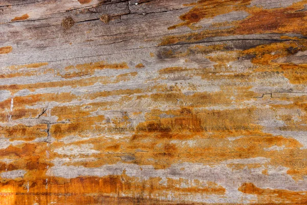 Close up old wood table texture background — Stock Photo, Image