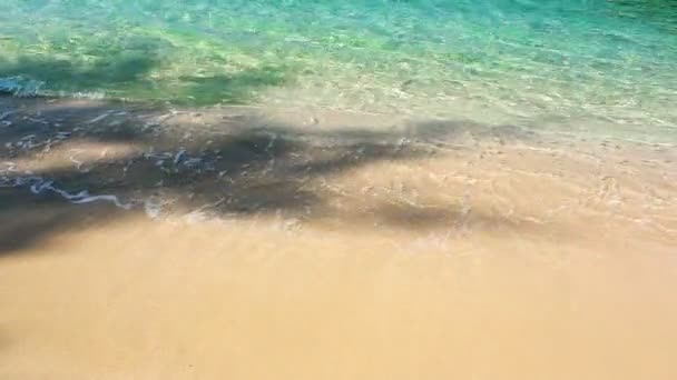 Ondes Douces Avec Mousse Océan Bleu Sur Plage Sable — Video