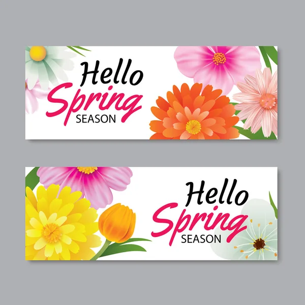 Hola plantilla de banner de tarjeta de felicitación de primavera con flor colorida . — Archivo Imágenes Vectoriales