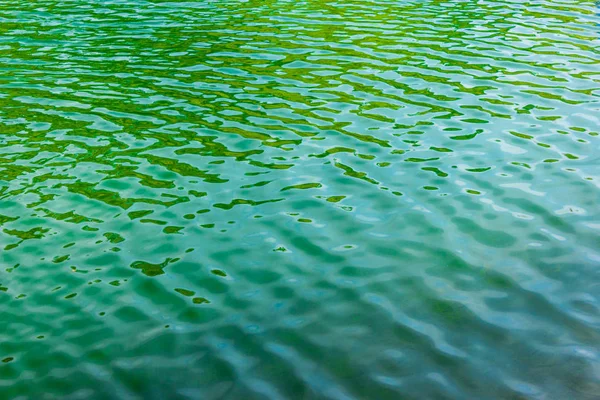 Green ripples on the surface of water in lake — Stock Photo, Image