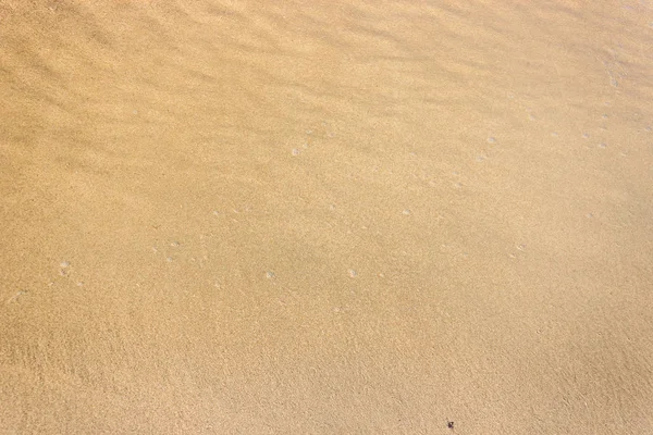 Chiaro Sabbia Bagnata Spiaggia Texture Sfondo — Foto Stock