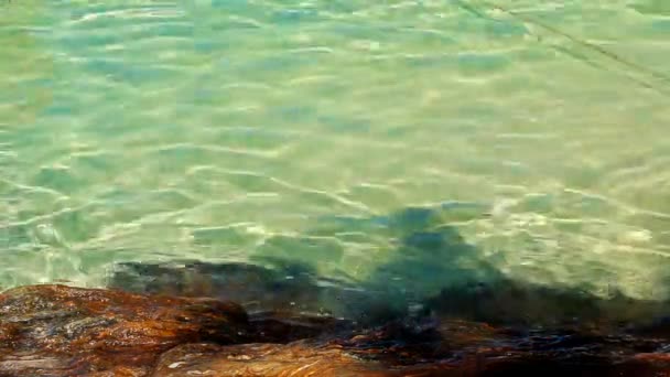 Pierre Près Plage Mer Turquoise Vague Douce — Video