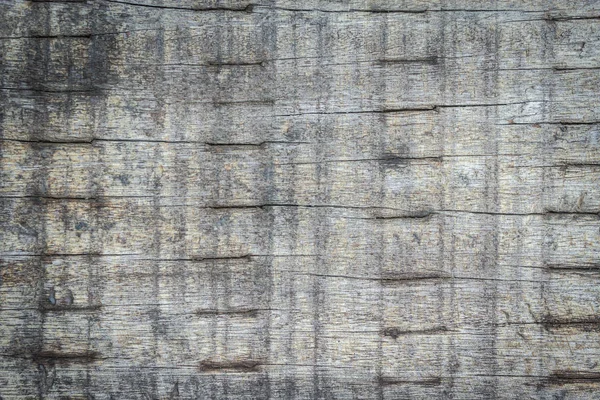 Old wood gray color abstract texture background. — Stock Photo, Image