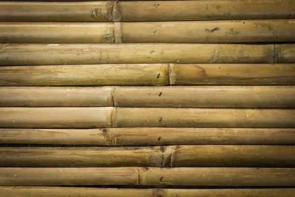 Cerca Bambú Amarillo Textura Fondo — Foto de Stock