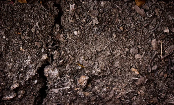 Soil Dark Ground Surface Top View Texture Background — Stock Photo, Image