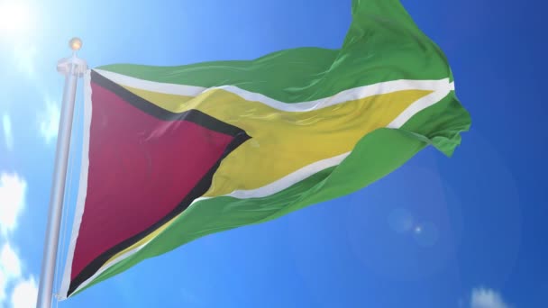 Drapeau Animé Guyane Dans Vent Avec Ciel Bleu Arrière Plan — Video