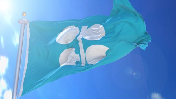Opec Organization Petroleum Exporting Країни Анімують Прапор Вітрі Синім Небом — стокове відео