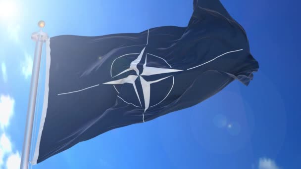 Nato Kuzey Atlantik Antlaşması Organizasyonu Rüzgarda Bayrağı Canlandırdı Arka Planda — Stok video