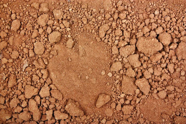 Fresh cocoa chocolate powder — Stock Photo, Image