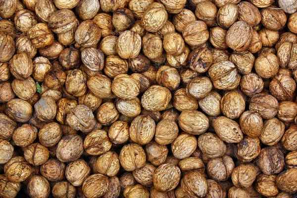 Fresh natural walnuts — Stock Photo, Image