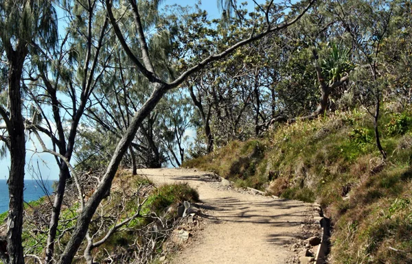 Trilha do parque nacional de Noosa nos arbustos — Fotografia de Stock