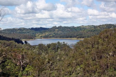 Lake Baroon Kondalilla Milli Parkı'nda muhteşem görünümü