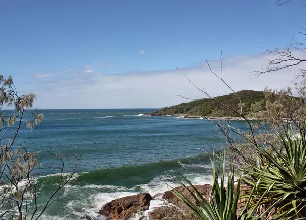 Noosa Національний парк — стокове фото