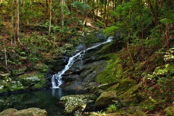 Waterfall in Kondalilla National Park — Stock Photo, Image