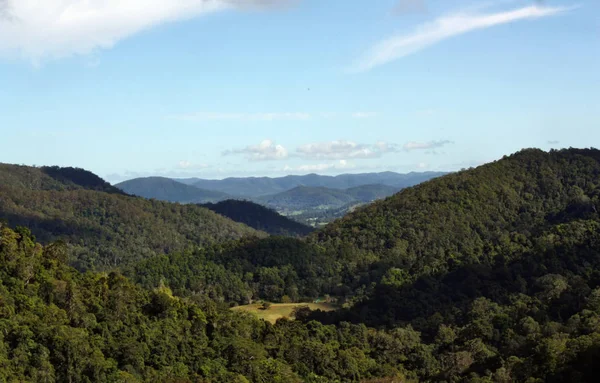 Increíble vista en el Parque Nacional Kondalilla —  Fotos de Stock