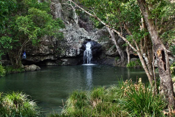 Waterfall in Kondalilla National Park — Stock Photo, Image