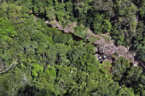 Top view of a mountain river in the bush in Kondalilla National Park
