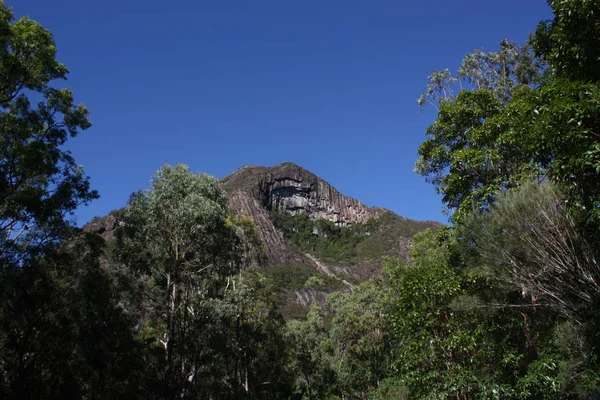 Beerwah Mount v Glass House Mountains — Stock fotografie