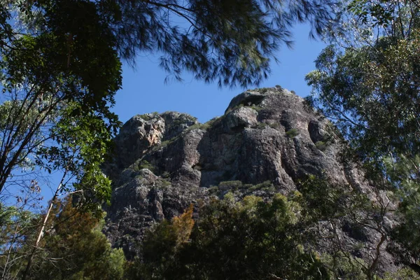 Australský vulkanické plug Mount Beerwah — Stock fotografie