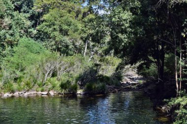 Maleny güzel Gardners Falls'ta