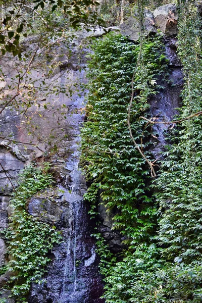 Waterfall in Australian National Park — Stock Photo, Image