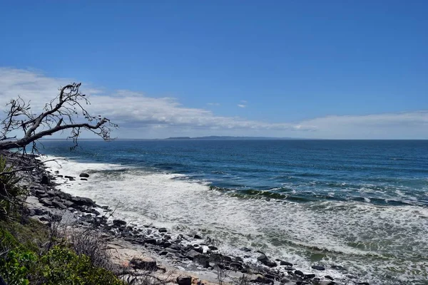 Park narodowy Noosa — Zdjęcie stockowe