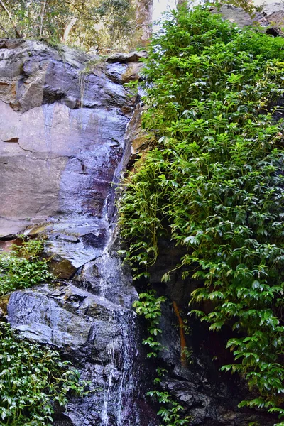 Waterfall in Australian National Park — Stock Photo, Image