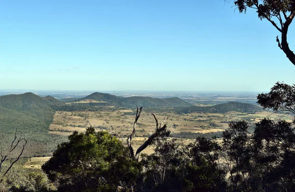 Landskap i Bunya National Park — Stockfoto