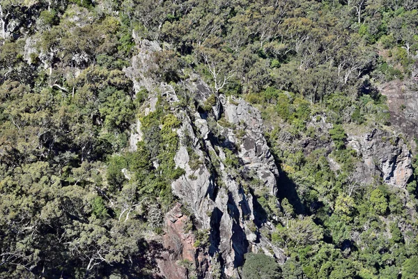 Landschaft im Bunya-Nationalpark — Stockfoto