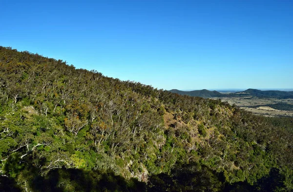 Landskap i Bunya National Park — Stockfoto