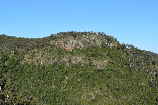 Paisagem no Parque Nacional de Bunya — Fotografia de Stock